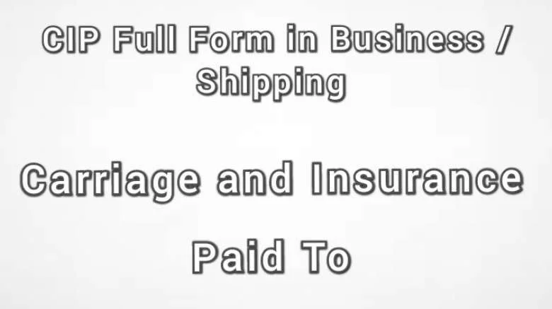 CIP Full Form in Business Shipping