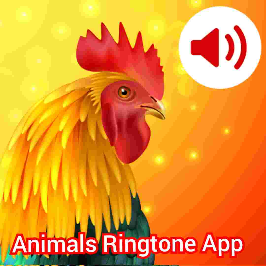 Animals Ringtone App