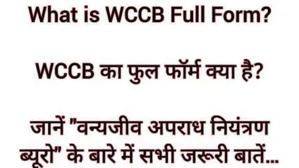 What is WCCB Full Form? WCCB का फुल फॉर्म क्या है? जानें "वन्यजीव अपराध नियंत्रण ब्यूरो" के बारे में सभी जरूरी बातें… WCCB Full Form.jpg