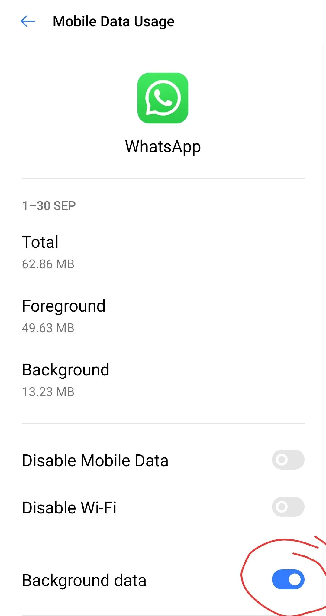 WhatsApp enable background data