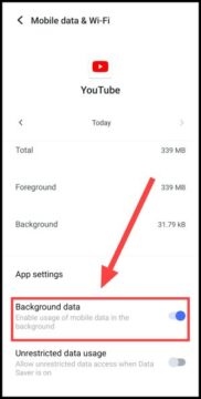 अब यहां देखें की Background Data इनेबल हो।